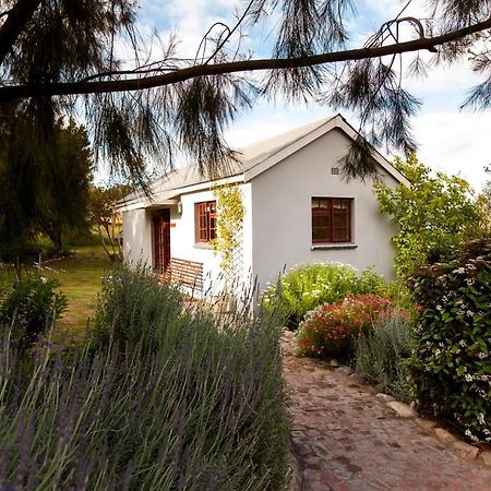 Summerhill Guest Farm Вустер Экстерьер фото