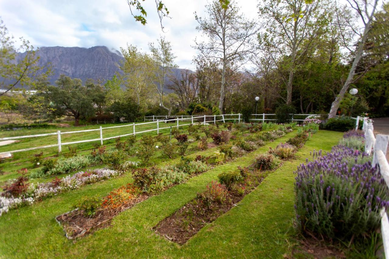 Summerhill Guest Farm Вустер Экстерьер фото